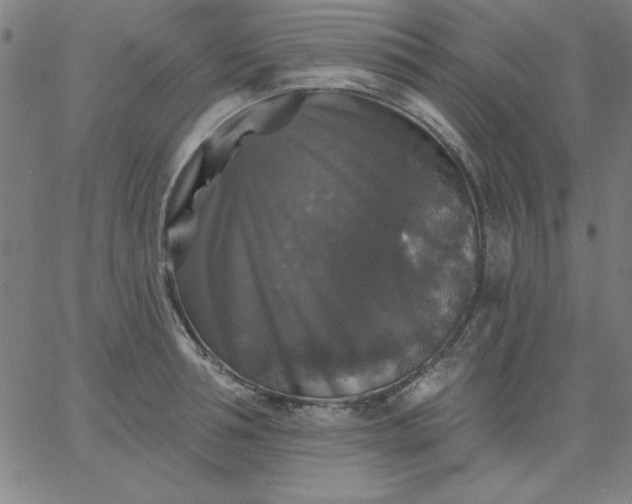 X0000067370994200604131837