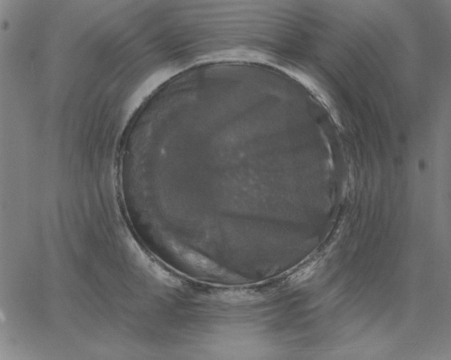 X0000067370998200604131837