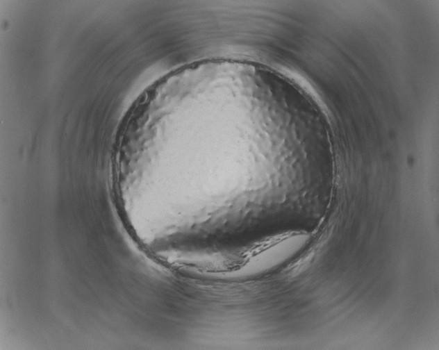 X0000067370999200604131837