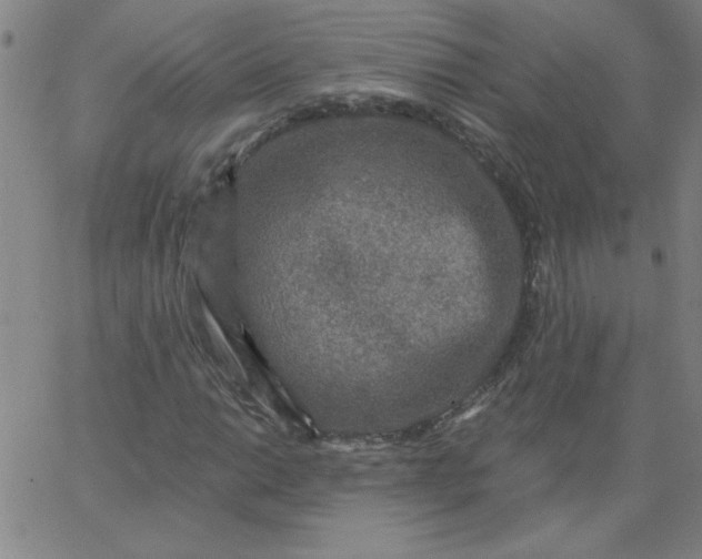 X0000067371014200604131836