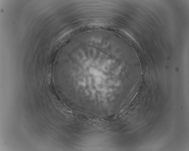 X0000067371015200604131836
