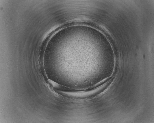 X0000067371018200604131836