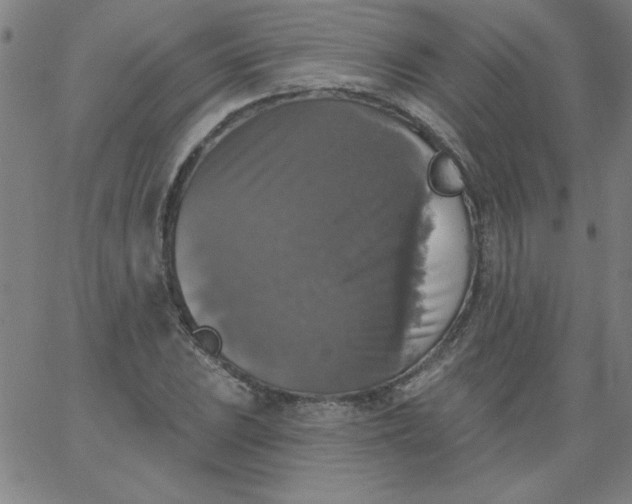 X0000067371023200604131836