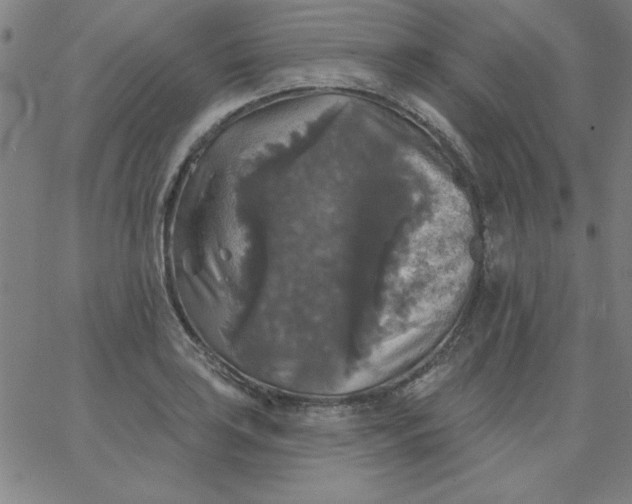 X0000067371035200604131836