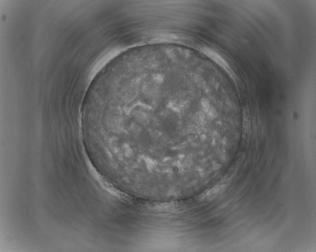 X0000067371047200604131836