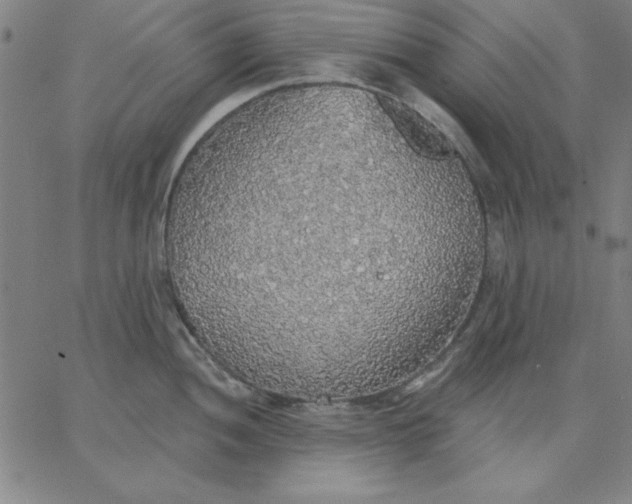 X0000067371052200604131836