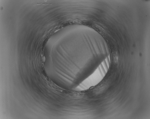 X0000067371060200604131836