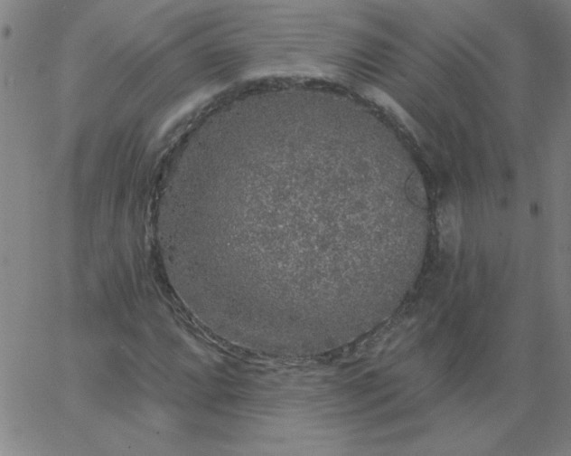 X0000067371064200604131836