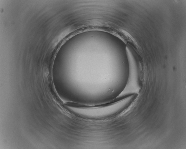 X0000067371065200604131836