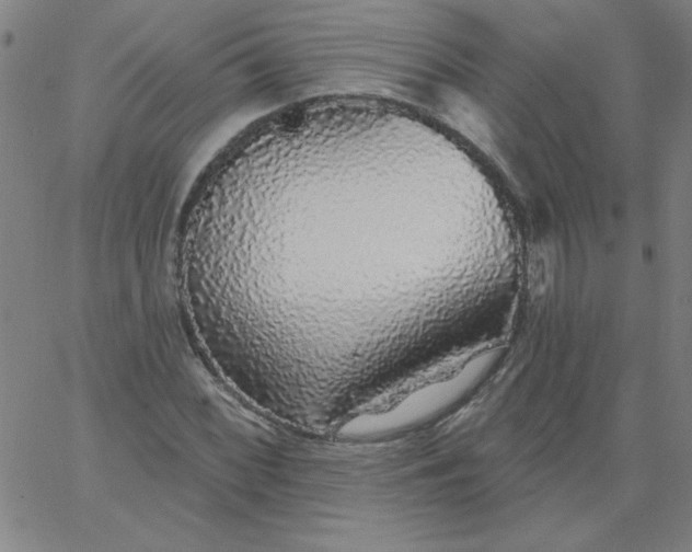 X0000067371068200604131836