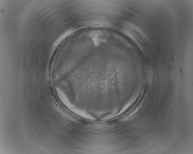 X0000067371074200604131835
