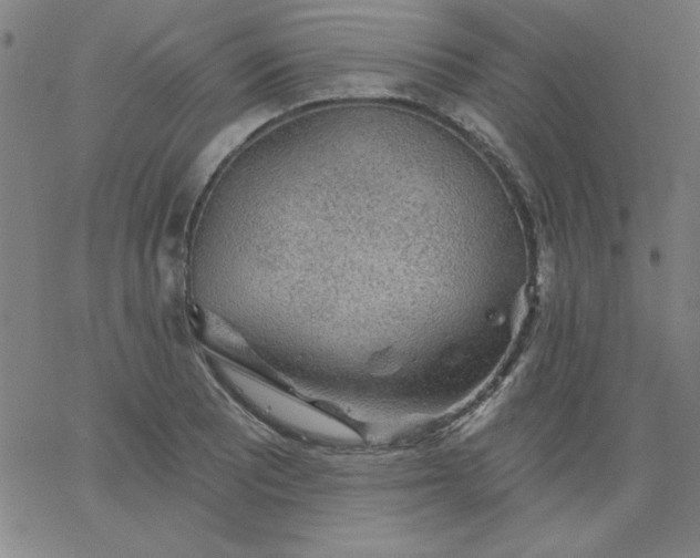 X0000067371081200604131835