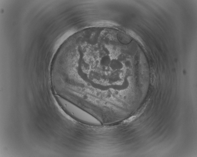 X0000067371087200604131835