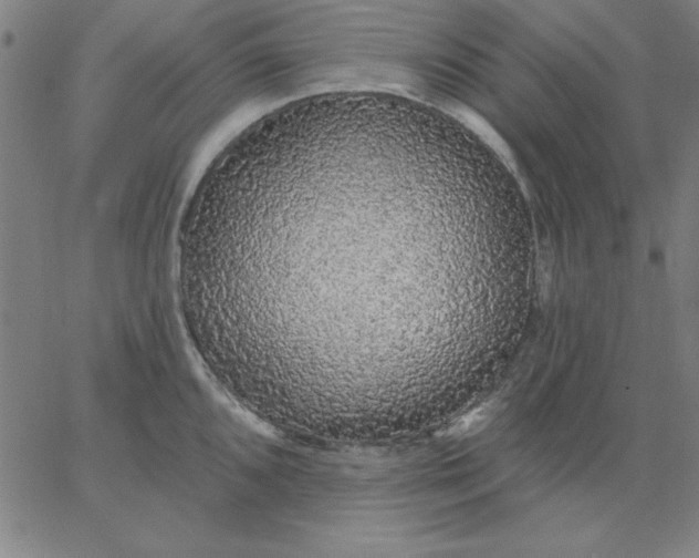 X0000067371096200604131835