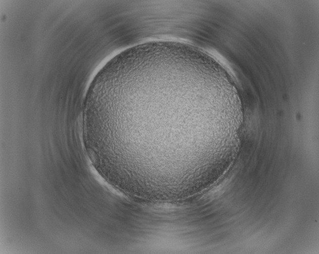 X0000067371100200604131835