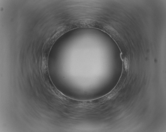 X0000067371107200604131834