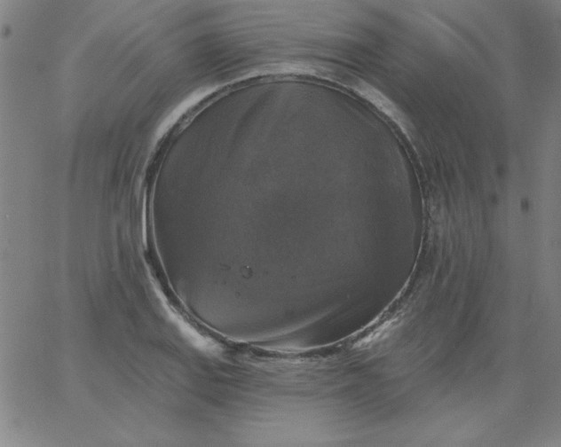 X0000067371127200604131835
