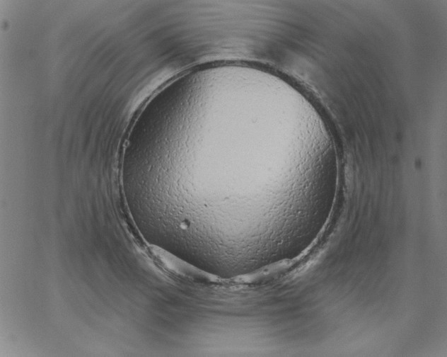 X0000067371129200604131835