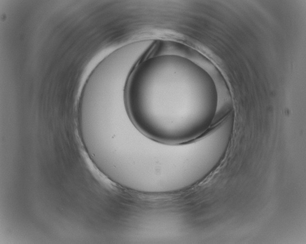 X0000067371152200604131835
