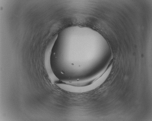 X0000067371153200604131834