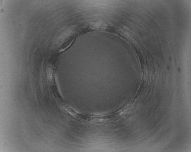 X0000067371154200604131834