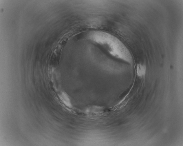 X0000067371155200604131834