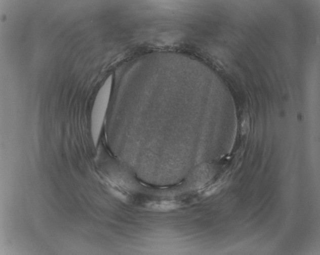 X0000067371156200604131834
