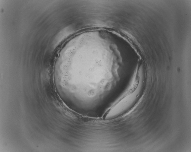 X0000067371163200604131834