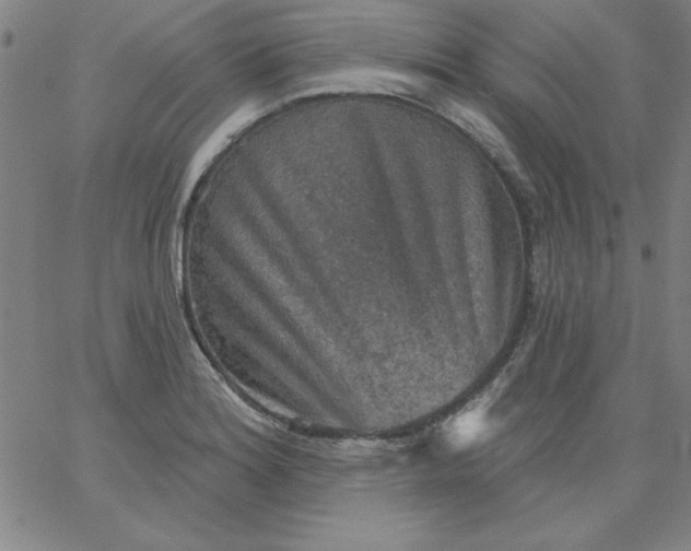 X0000067371180200604131834