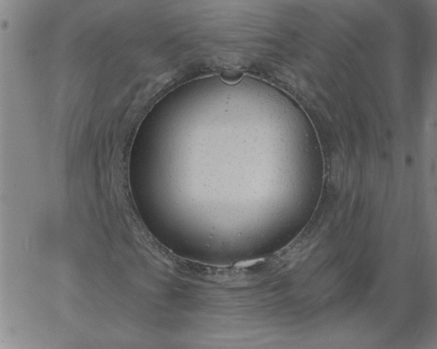X0000067371201200604131833
