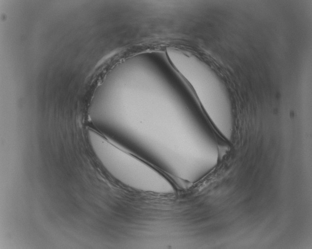 X0000067371206200604131833
