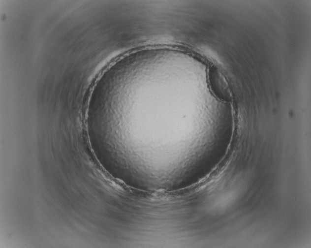 X0000067371212200604131833