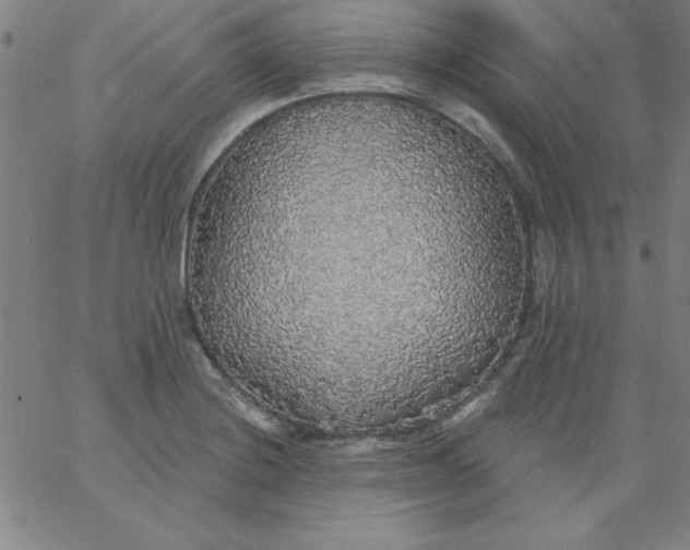 X0000067371228200604131833