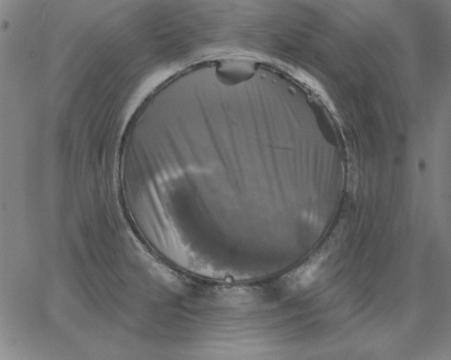 X0000067371231200604131833