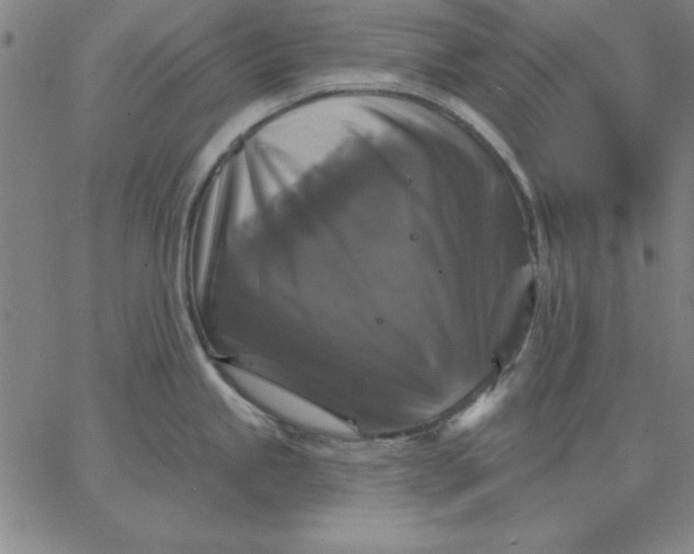 X0000067371245200604131833