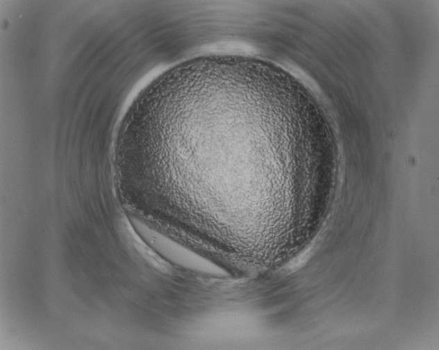 X0000067371248200604131833