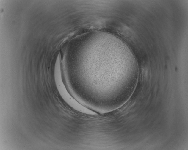 X0000067371250200604131833