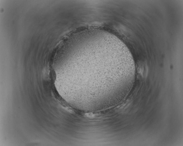 X0000067371252200604131833