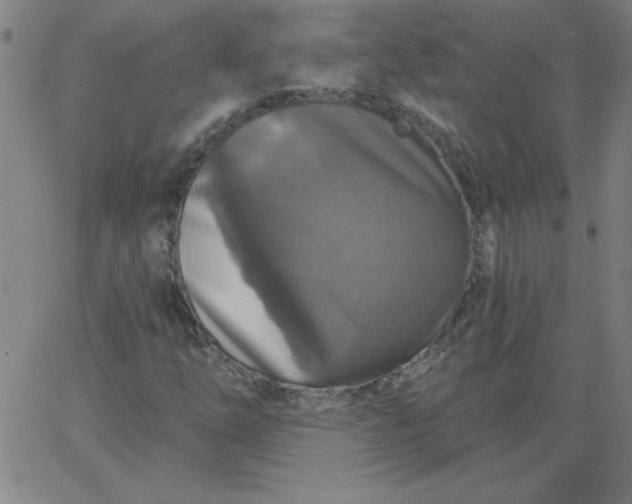 X0000067371254200604131833