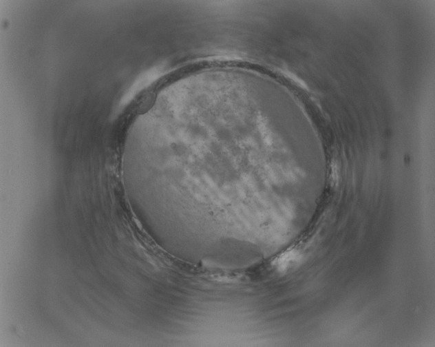 X0000067371255200604131833