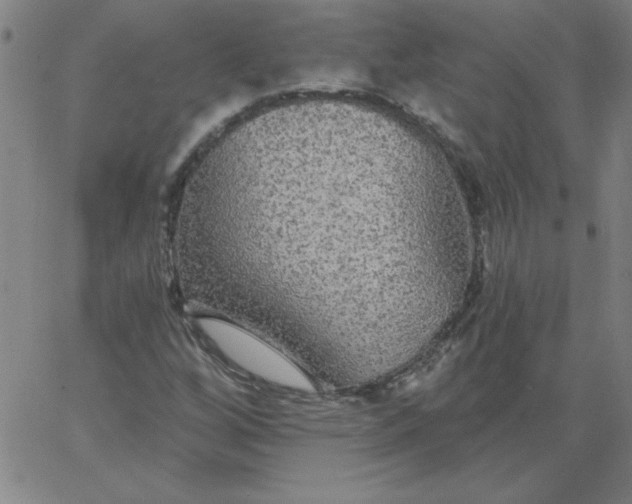 X0000067371256200604131833