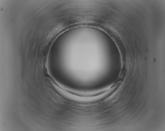 X0000067371257200604131833