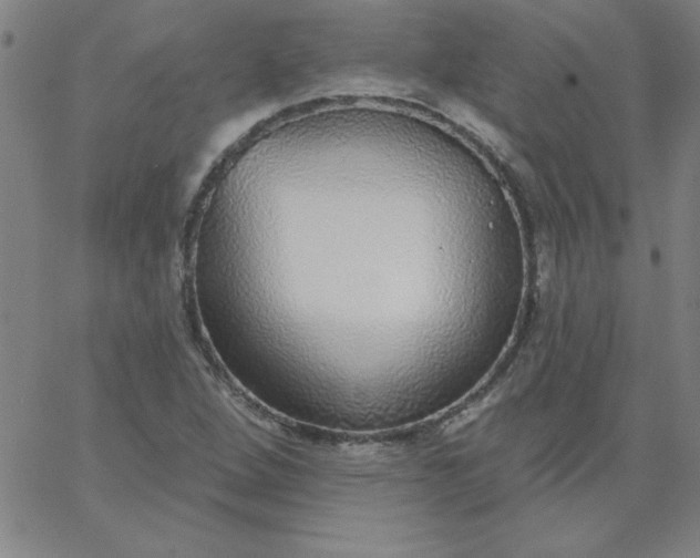 X0000067371264200604131832