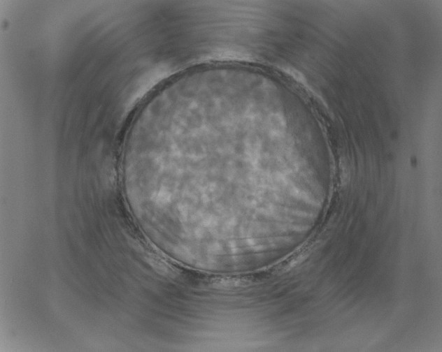 X0000067371266200604131832