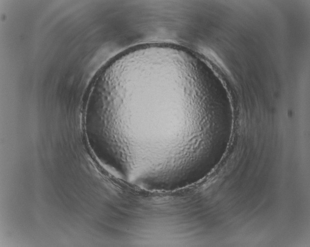 X0000067371268200604131832