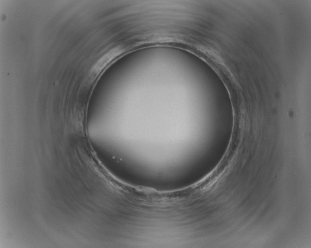 X0000067371273200604131832