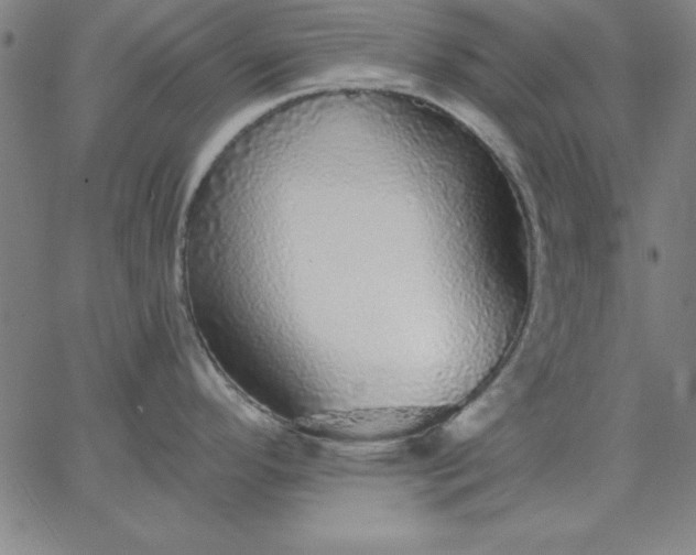 X0000067371296200604131832