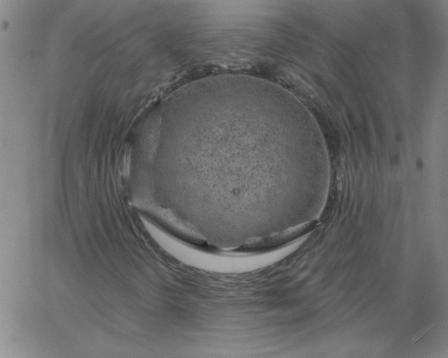 X0000067371298200604131831