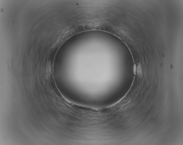 X0000067371299200604131831