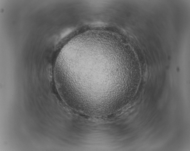 X0000067371301200604131831